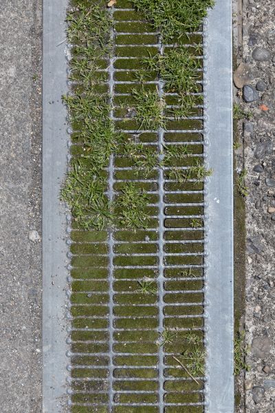 Blocked Drain Repair