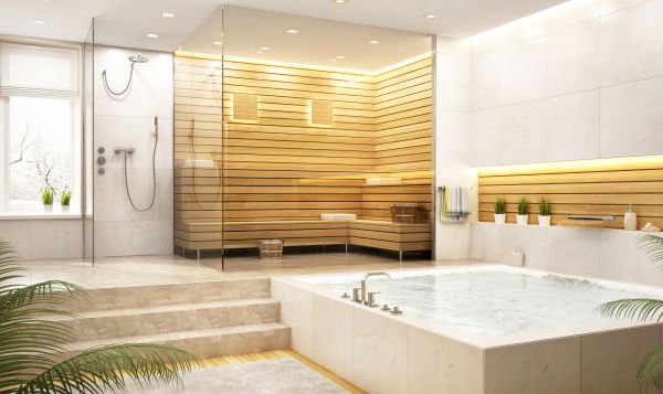 Sauna Repair