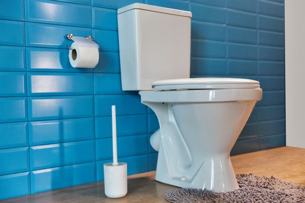 Broken Toilet Repair