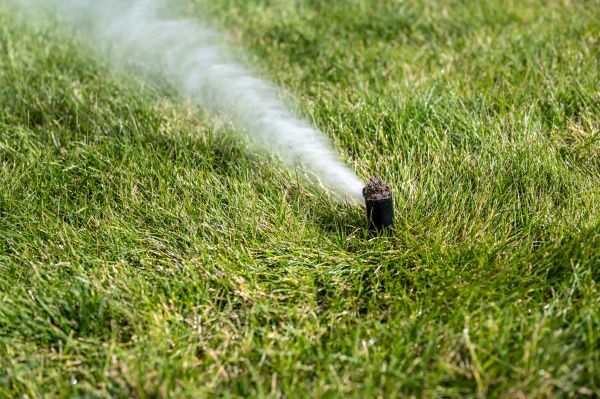 Winter Sprinkler Blowout