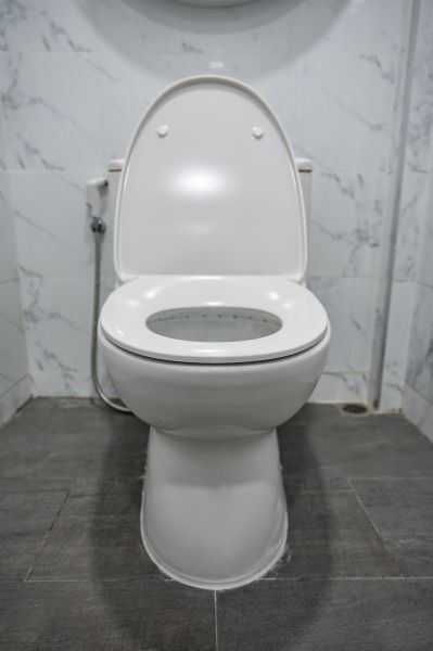 Toilet Repair